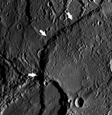 Beagle Rupes